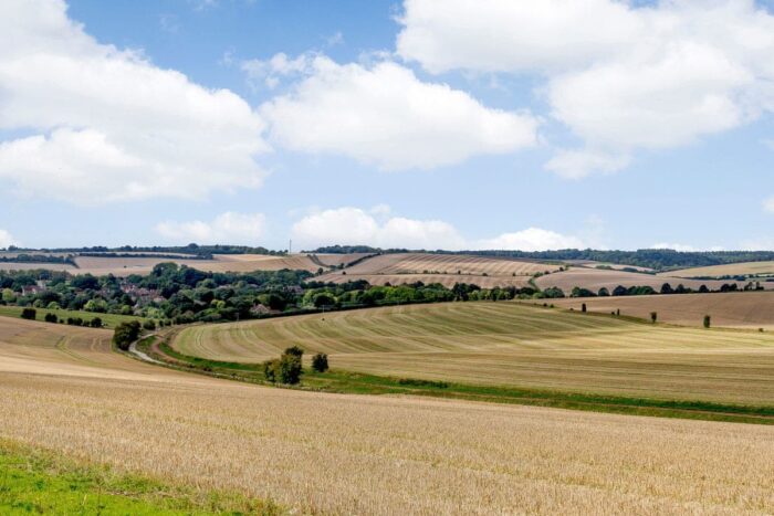 10828429-700x467