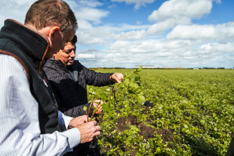 Knowledge Provision Dyson Farming