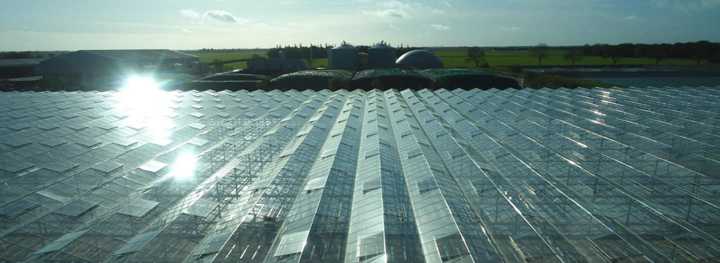 Photo of large greenhouses