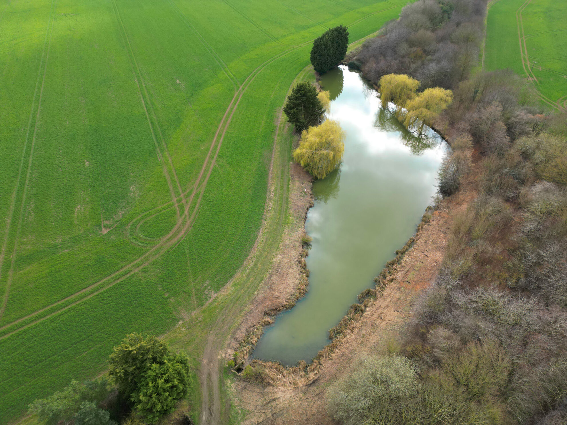 Dyson Farming Leisure: Fishing at Stubton Farm – Dyson Farming