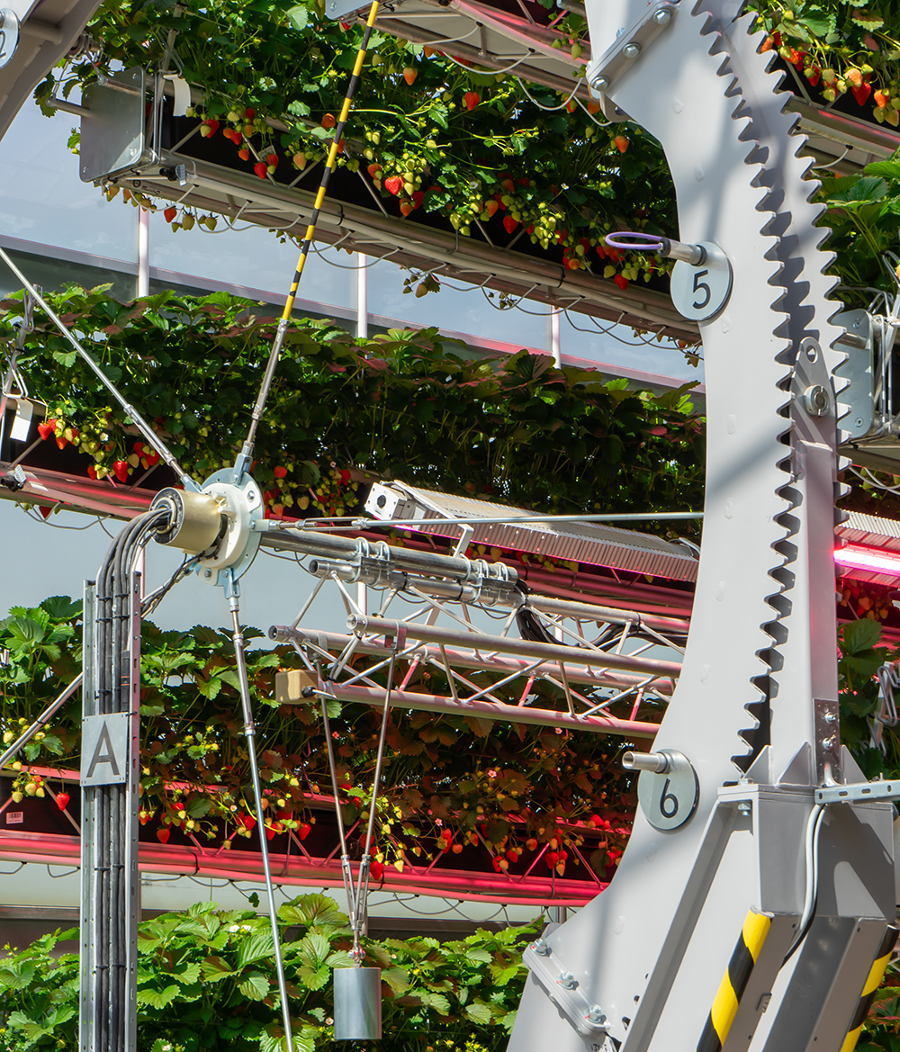 Technology in the Glasshouse