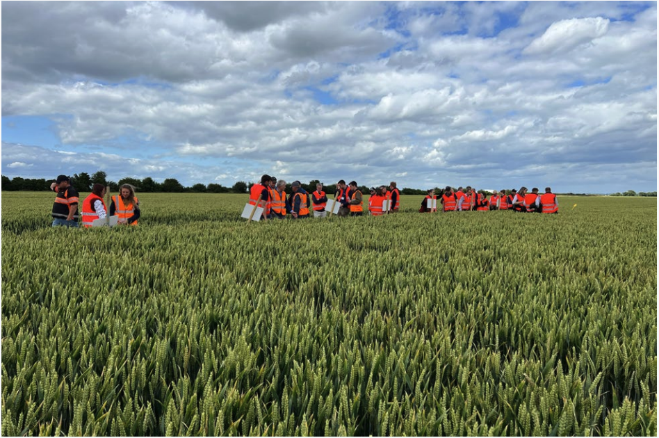 Mentorship and support networks