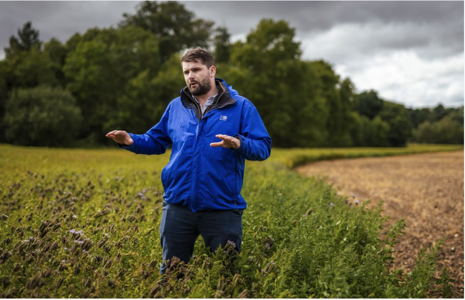 Dyson Farming : Research : Collaborative workshops and webinars